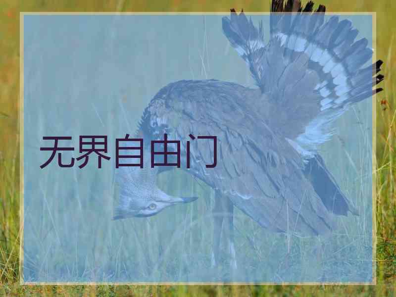 无界自由门