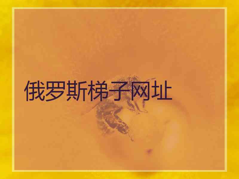 俄罗斯梯子网址