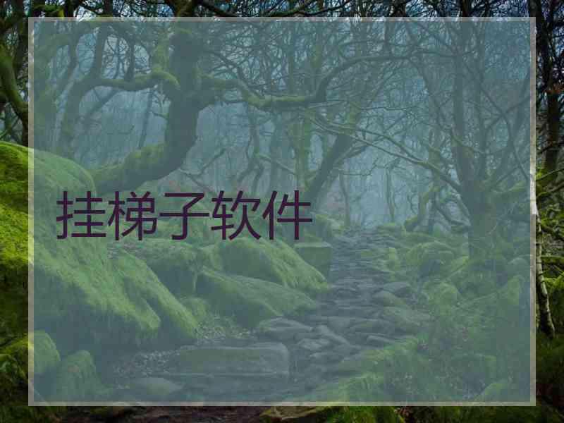挂梯子软件