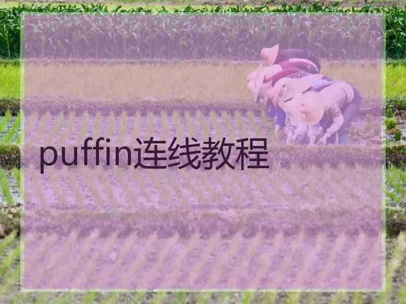 puffin连线教程