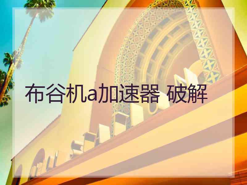 布谷机a加速器 破解