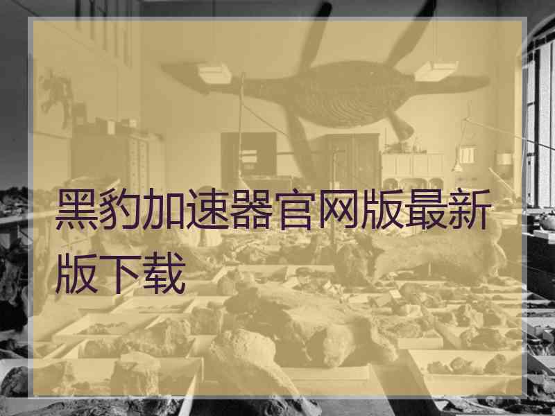 黑豹加速器官网版最新版下载