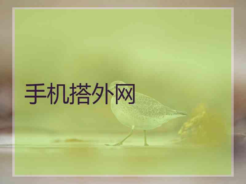 手机搭外网