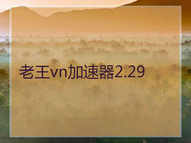 老王vn加速器2.29