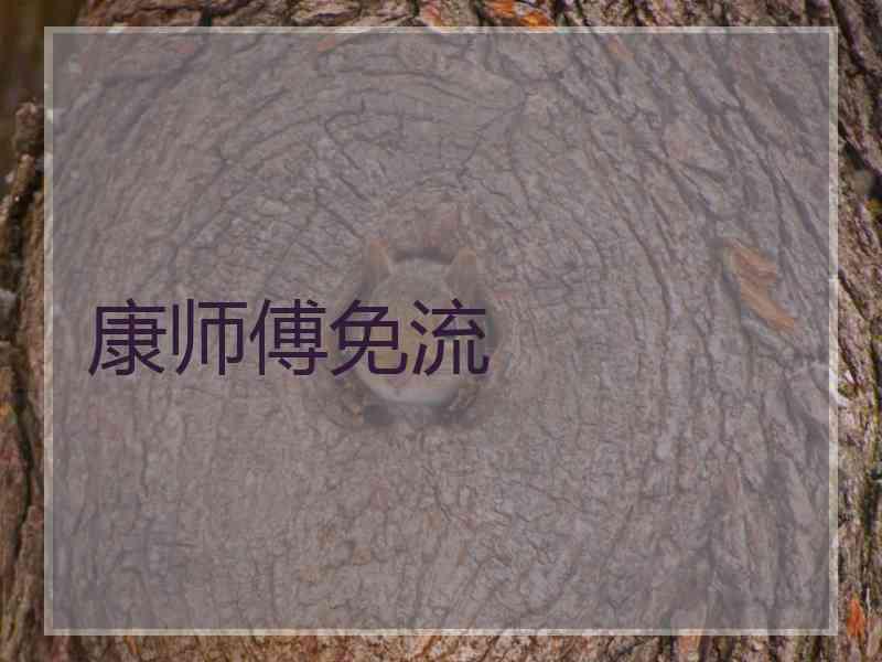 康师傅免流