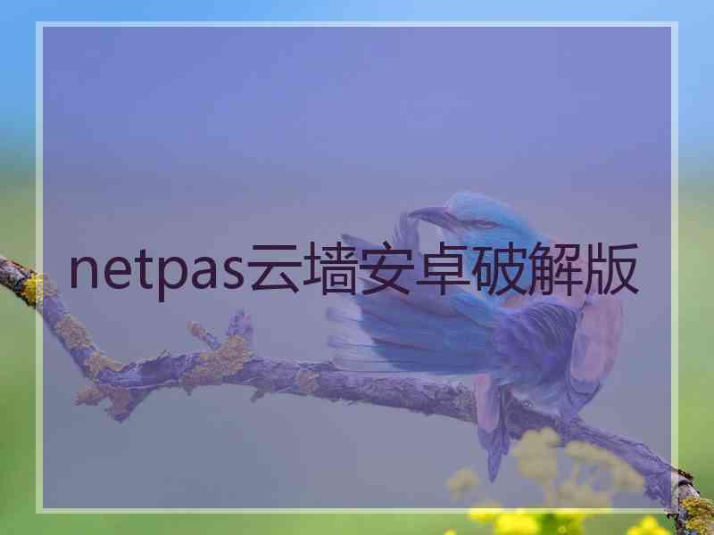 netpas云墙安卓破解版