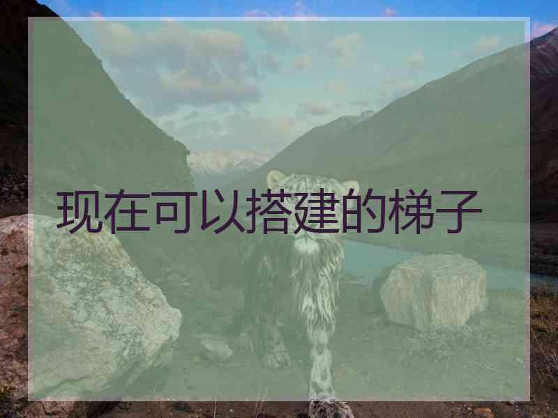 现在可以搭建的梯子