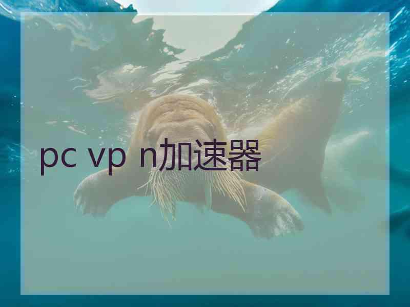 pc vp n加速器