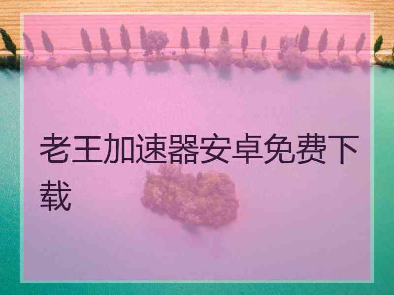 老王加速器安卓免费下载