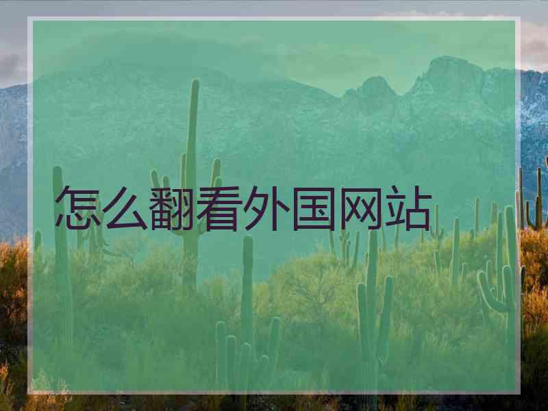 怎么翻看外国网站