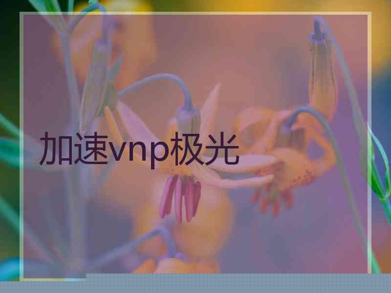 加速vnp极光