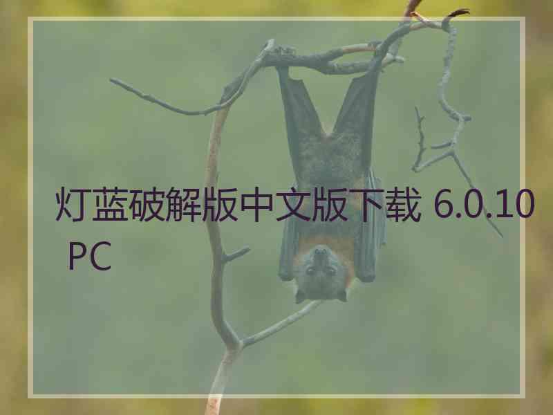 灯蓝破解版中文版下载 6.0.10 PC