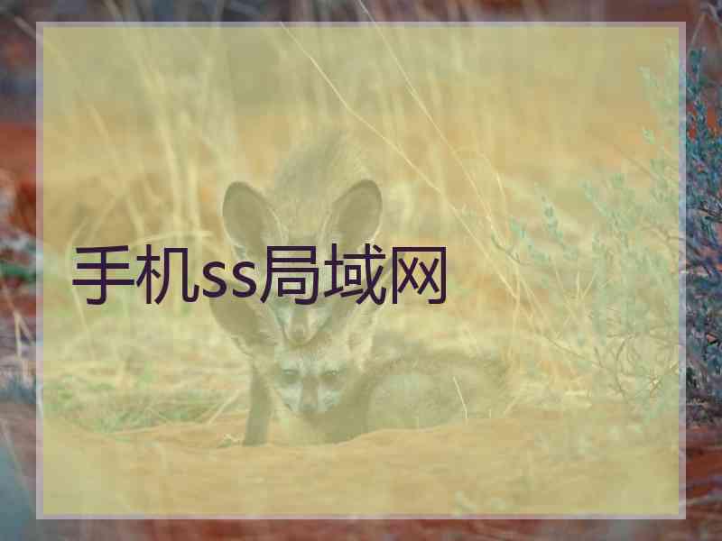 手机ss局域网