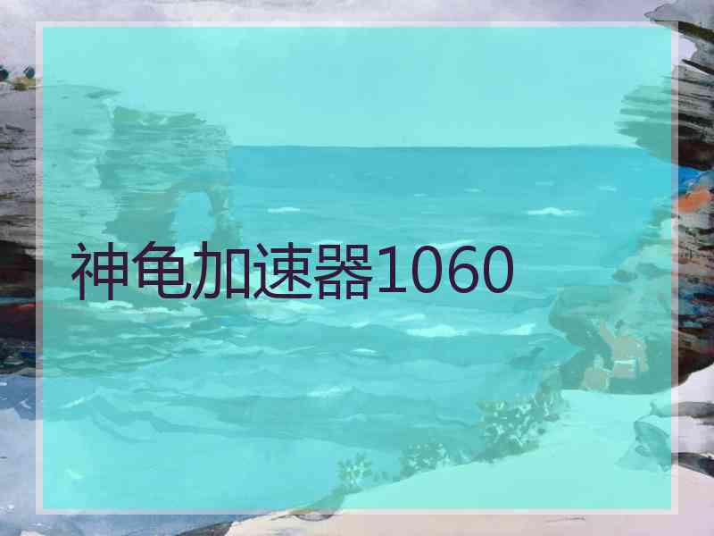 神龟加速器1060