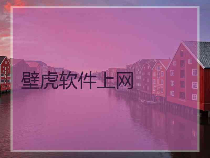 壁虎软件上网