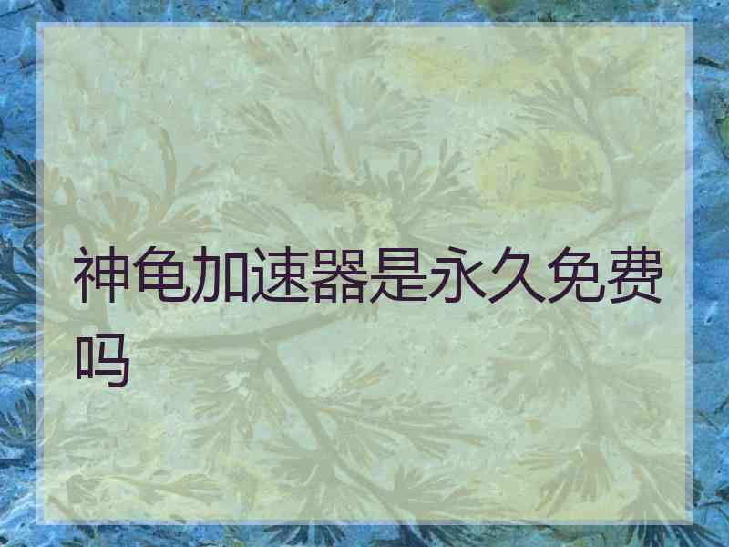神龟加速器是永久免费吗