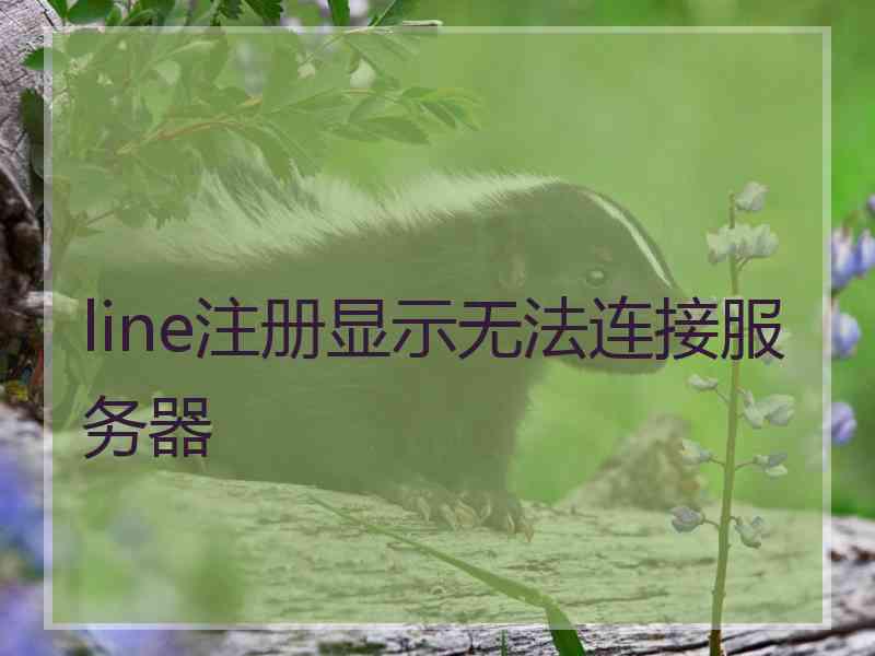 line注册显示无法连接服务器