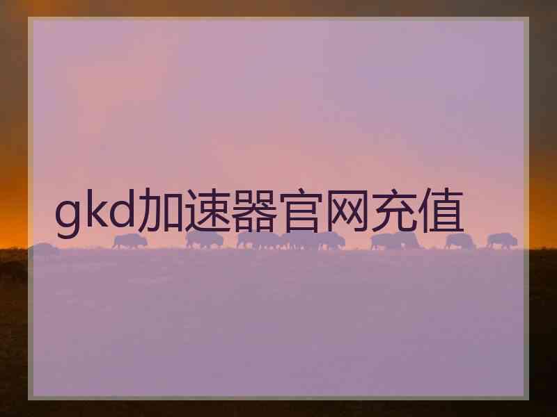 gkd加速器官网充值
