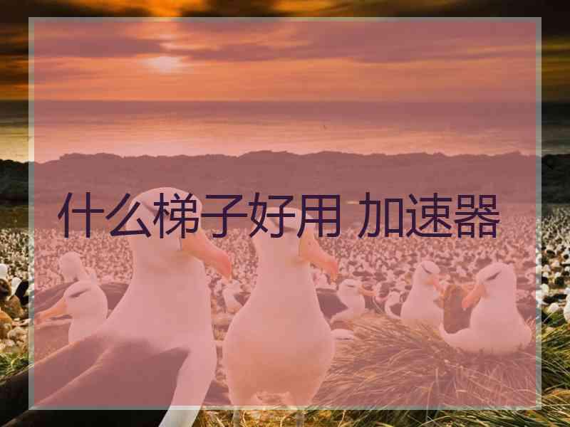 什么梯子好用 加速器