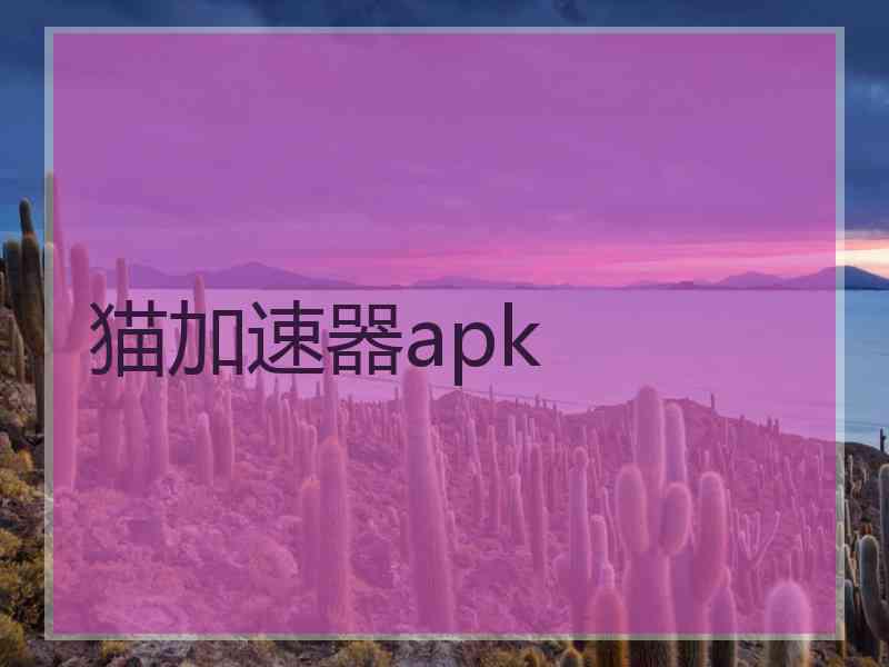 猫加速器apk