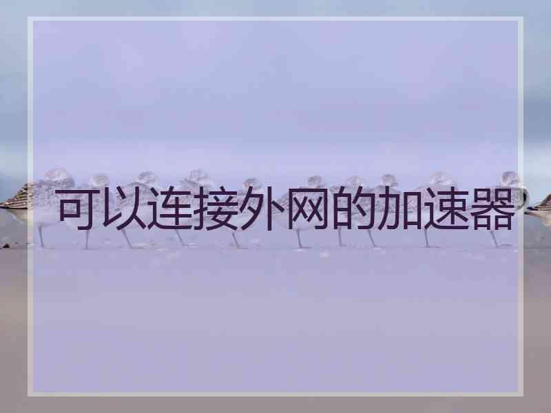 可以连接外网的加速器