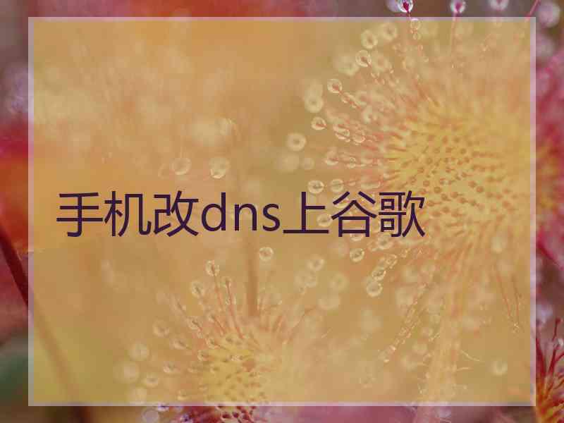 手机改dns上谷歌