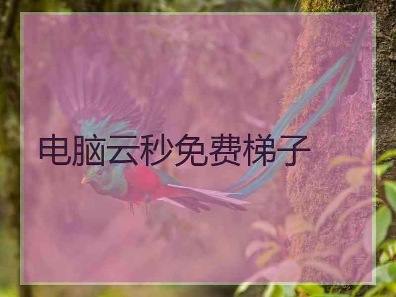 电脑云秒免费梯子