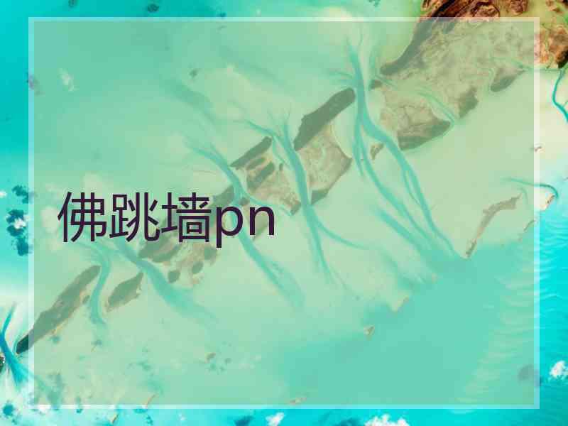 佛跳墙pn