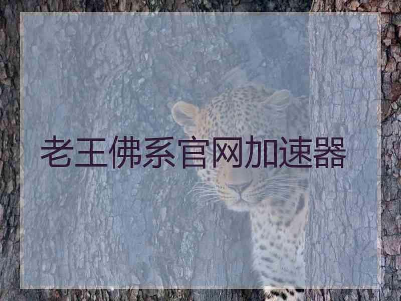 老王佛系官网加速器