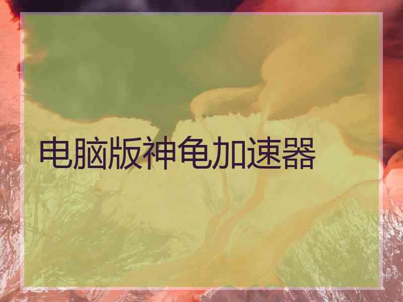 电脑版神龟加速器