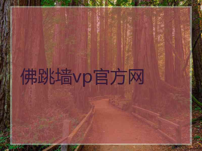 佛跳墙vp官方网