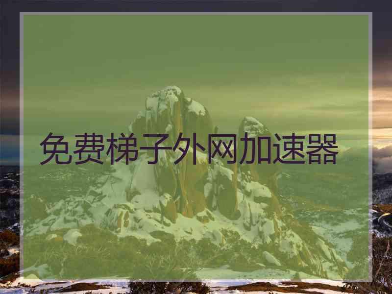 免费梯子外网加速器