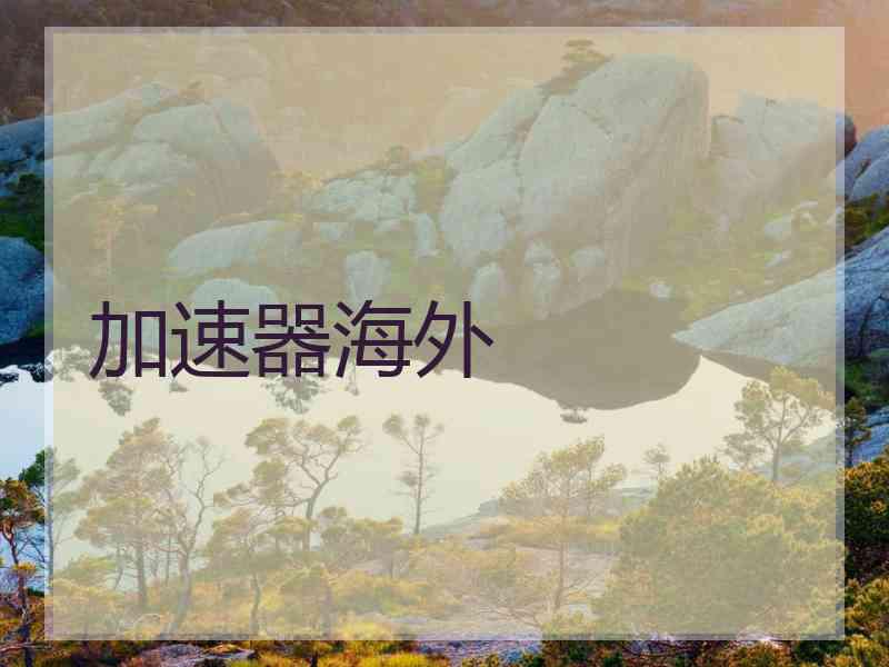 加速器海外