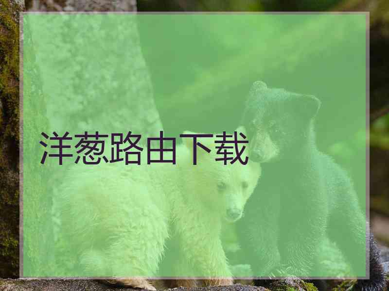 洋葱路由下载