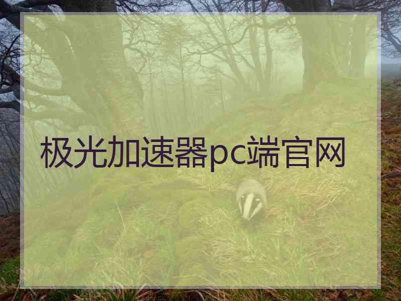 极光加速器pc端官网