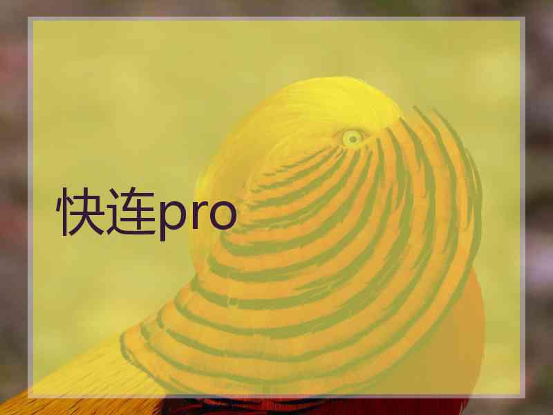 快连pro