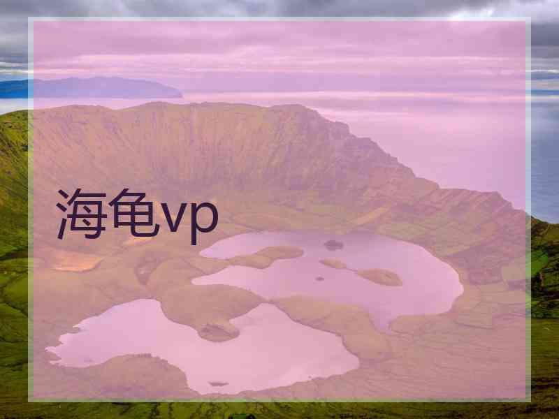 海龟vp
