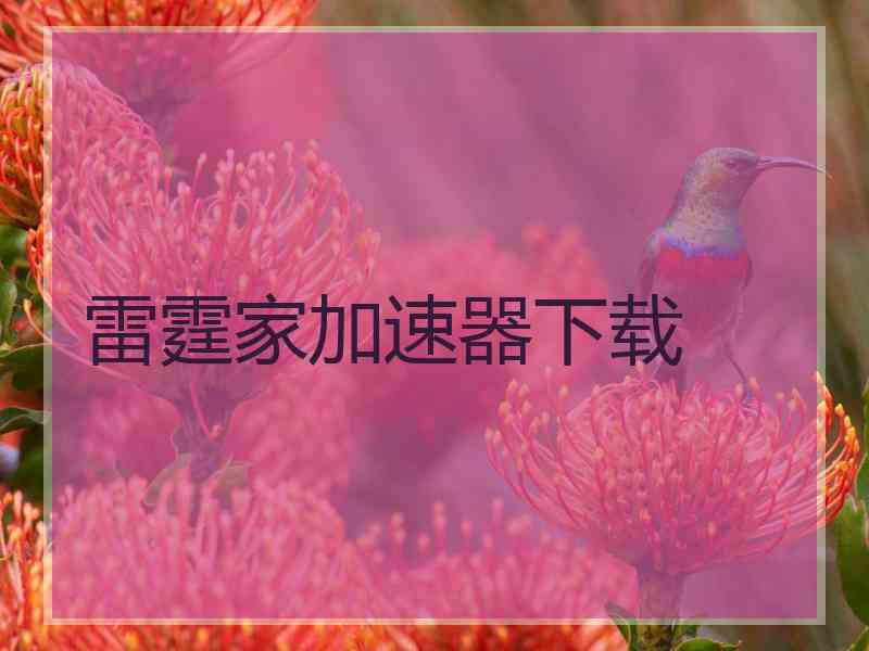 雷霆家加速器下载