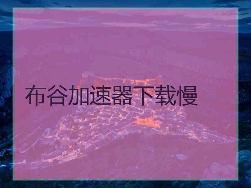 布谷加速器下载慢