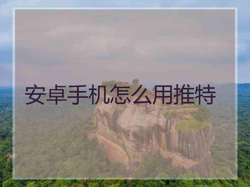 安卓手机怎么用推特