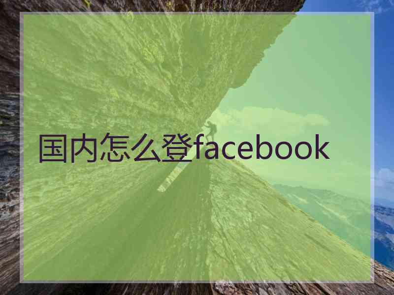 国内怎么登facebook