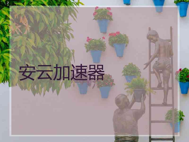 安云加速器