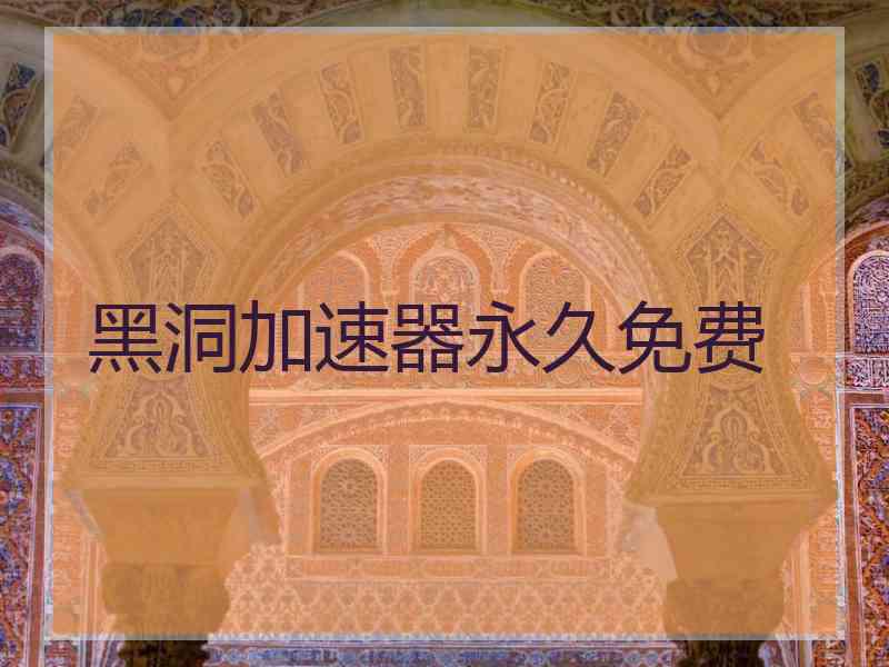 黑洞加速器永久免费