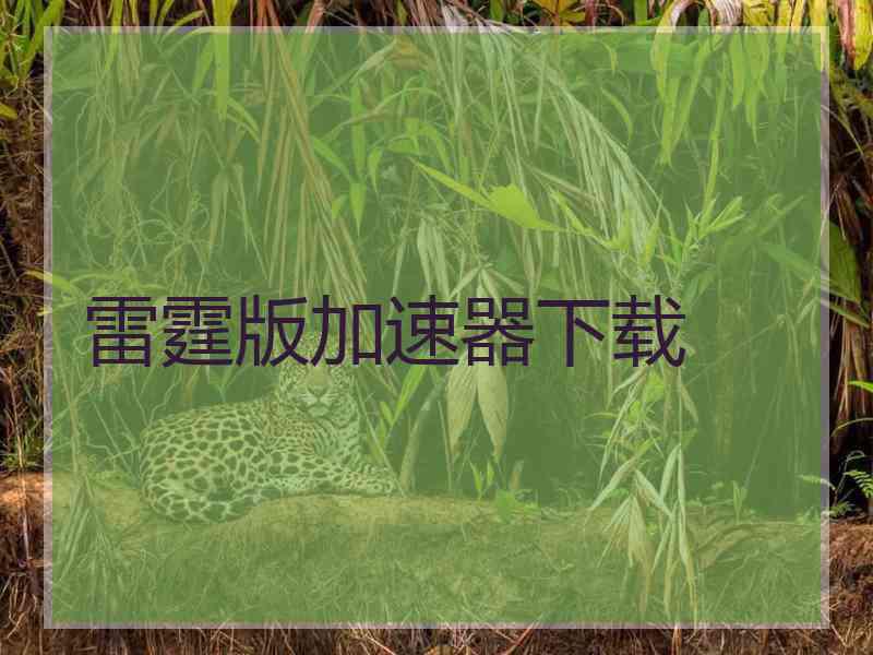 雷霆版加速器下载