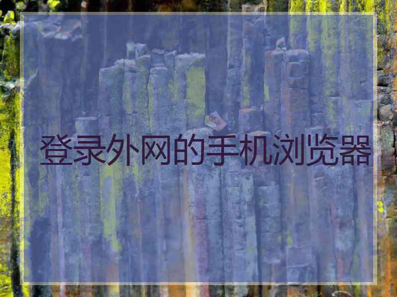 登录外网的手机浏览器