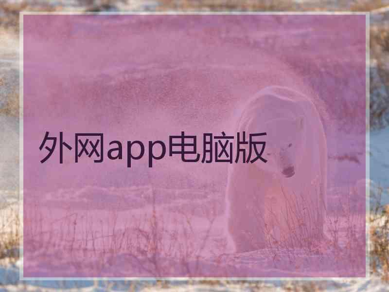 外网app电脑版