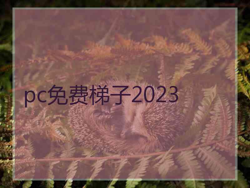 pc免费梯子2023