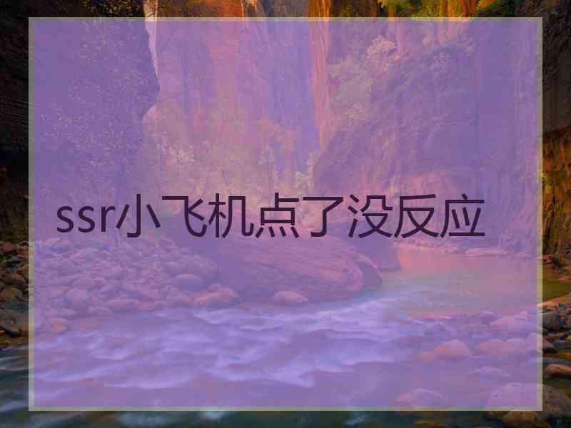 ssr小飞机点了没反应