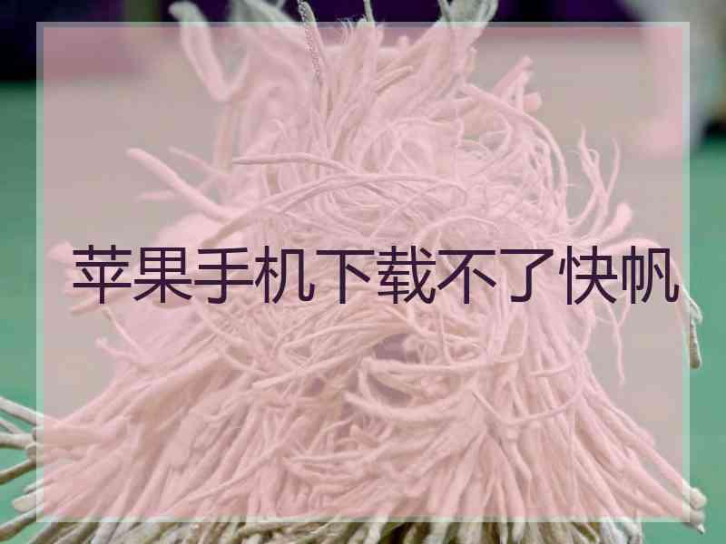 苹果手机下载不了快帆