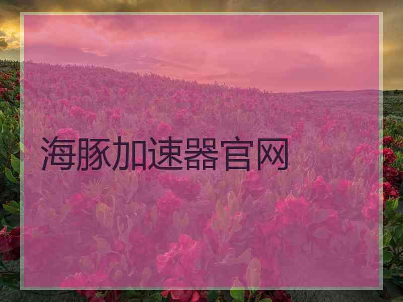 海豚加速器官网